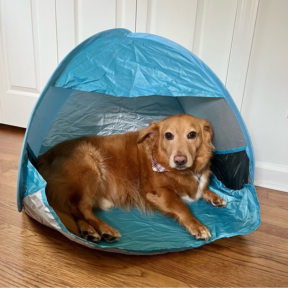 Mini Pop Up Beach Shade with 50 SPF and UV Protection and Carry Bag